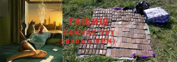 гашик Ладушкин