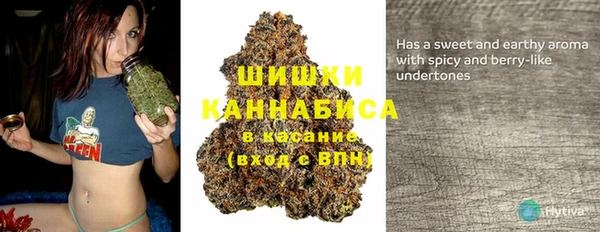 гашик Ладушкин